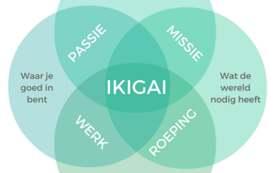 Werk ontdekken dat bij je past – Ikigai editie